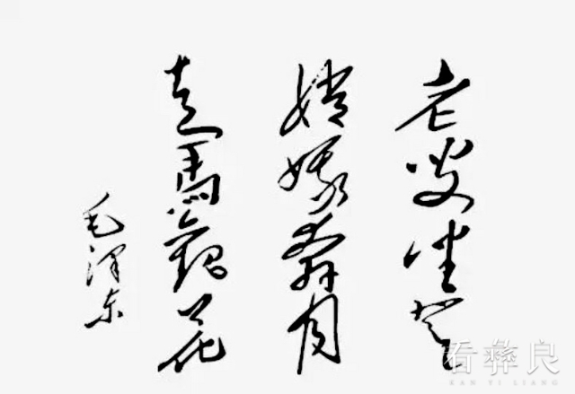 朦胧诗.jpeg