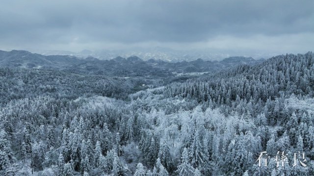 DJI_0501_副本.jpg