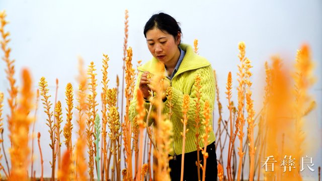 DSC09891_副本.jpg