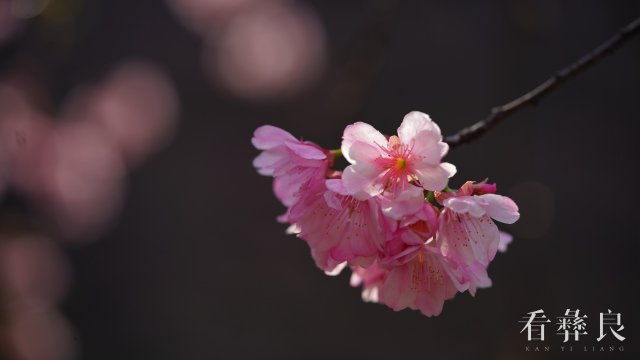 DSC00006.jpg