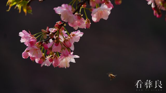 DSC00020.jpg