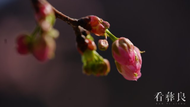DSC00034.jpg