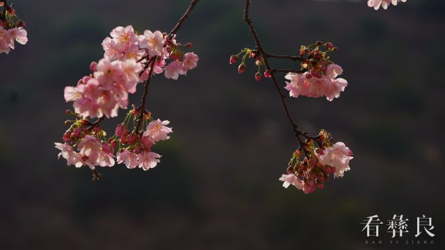 DSC00066.jpg