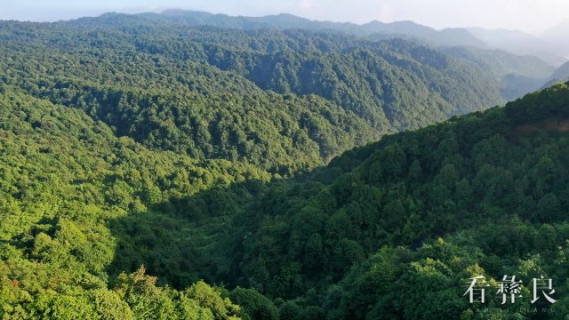 DJI_0447.JPG