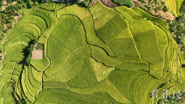 DJI_0027_副本.jpg