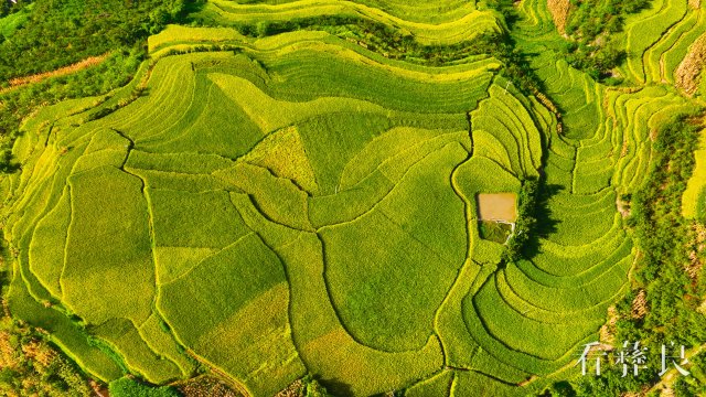 DJI_0031.jpg