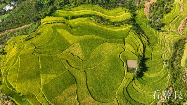 DJI_0033.jpg