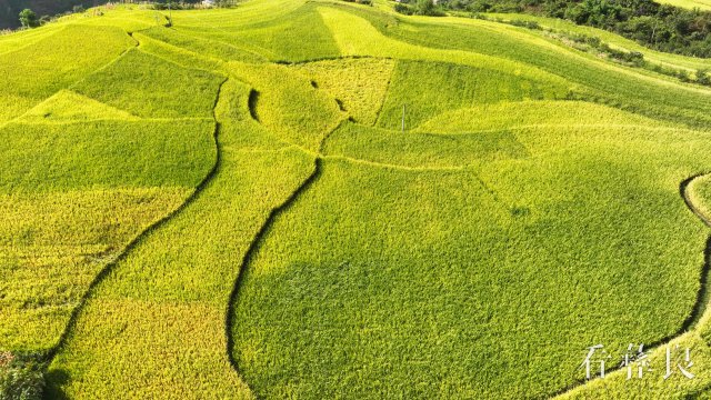 DJI_0044.jpg
