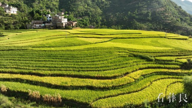 DJI_0048.jpg
