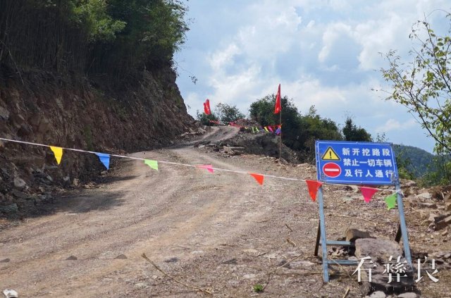 陈霖调研森林防火应急道路建设情况