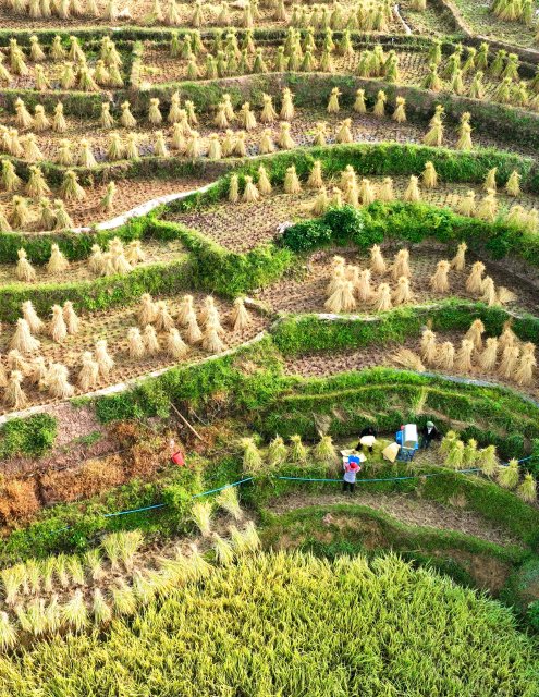 DJI_0117_副本.jpg