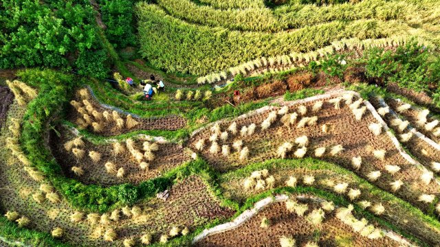 DJI_0104_副本.jpg