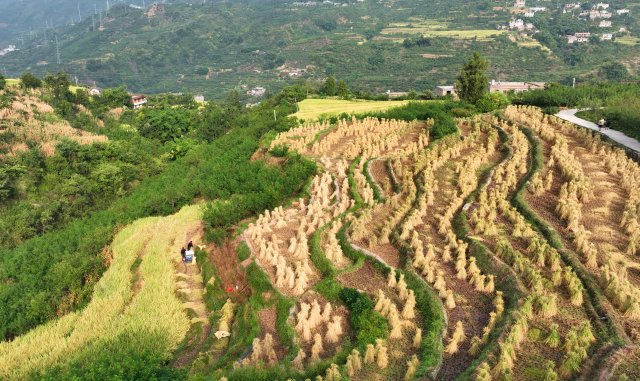 DJI_0142_副本.jpg
