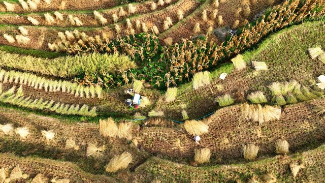 DJI_0130_副本.jpg