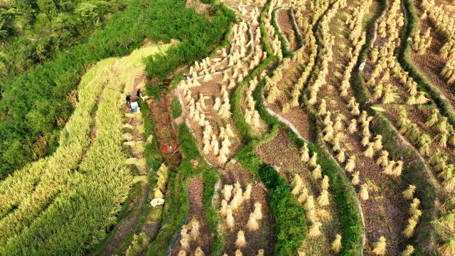 DJI_0148_副本.jpg