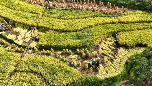 DJI_0163_副本.jpg