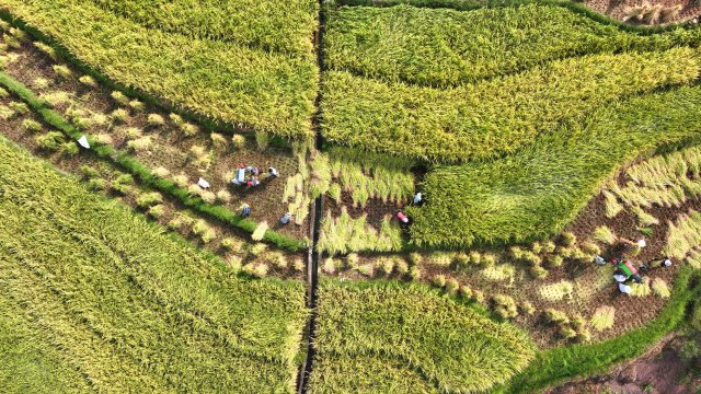 DJI_0189_副本.jpg