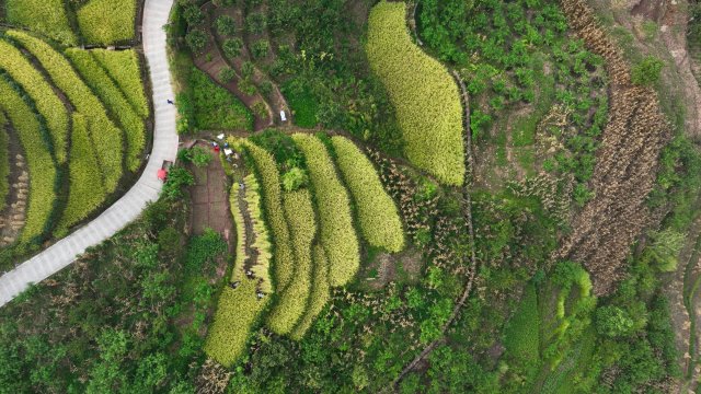 DJI_0691.JPG