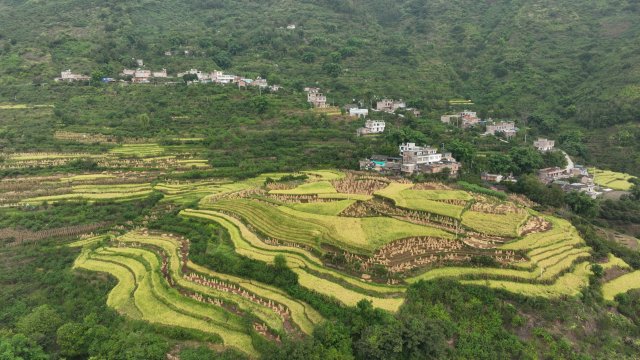 DJI_0713.JPG