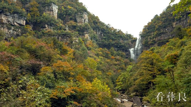 小草坝秋色  彭洪摄26.jpg