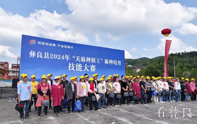 小草坝天麻走向国际旅交市场.jpg