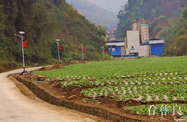 彝良县柳溪乡：乡贤助力照亮群众“幸福路”