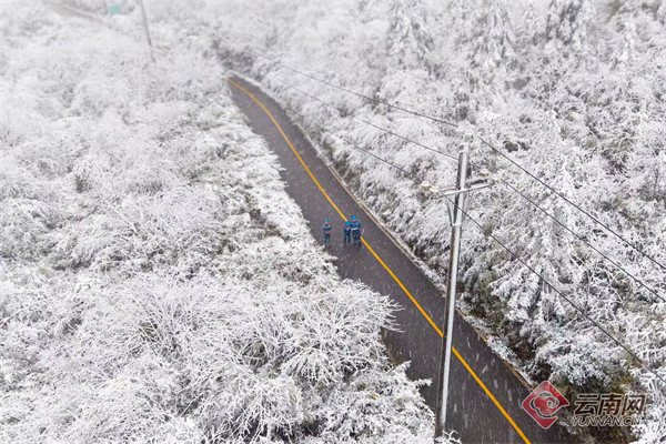 电力1.jpg