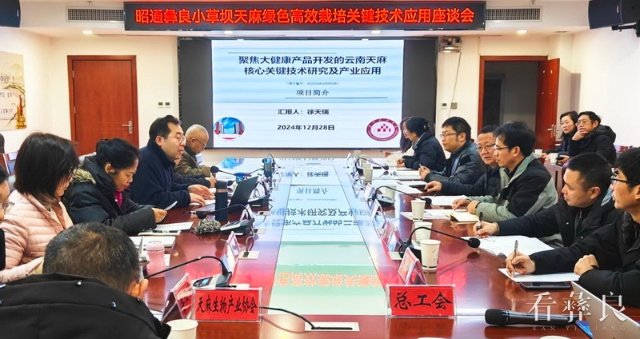 QQ图片20241230102519.jpg