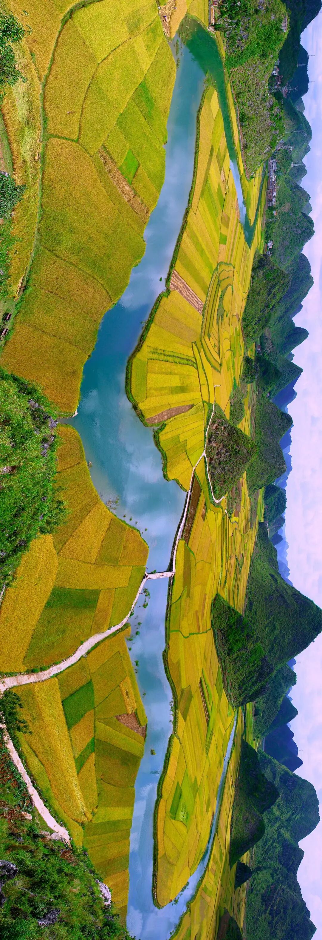 广南八宝米生产基地 全景(1)(1).jpg