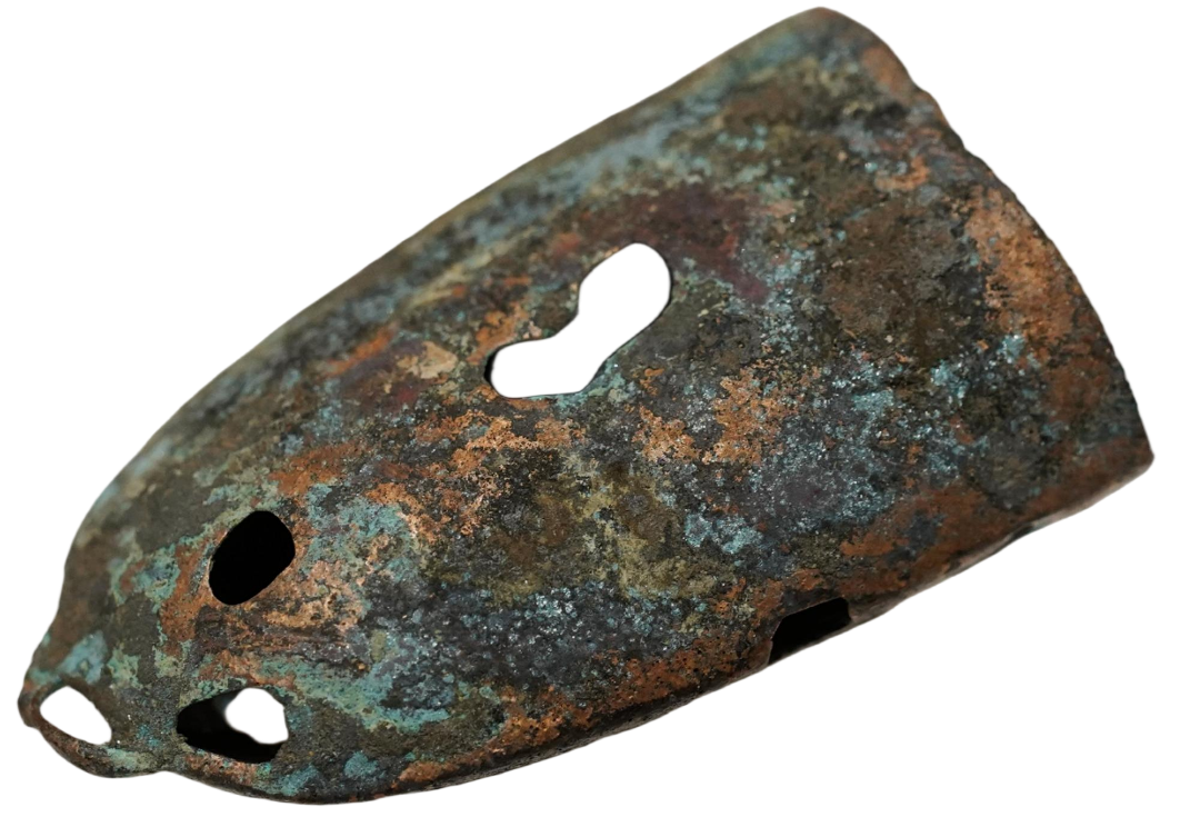 DSC08435.png